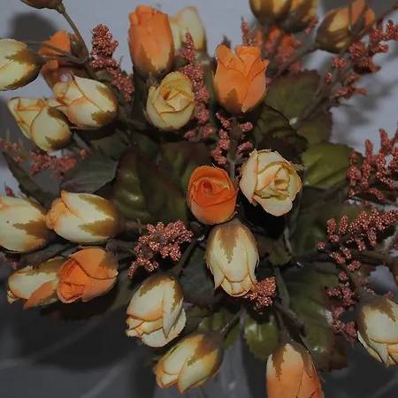 Fantastic דירה ספליט